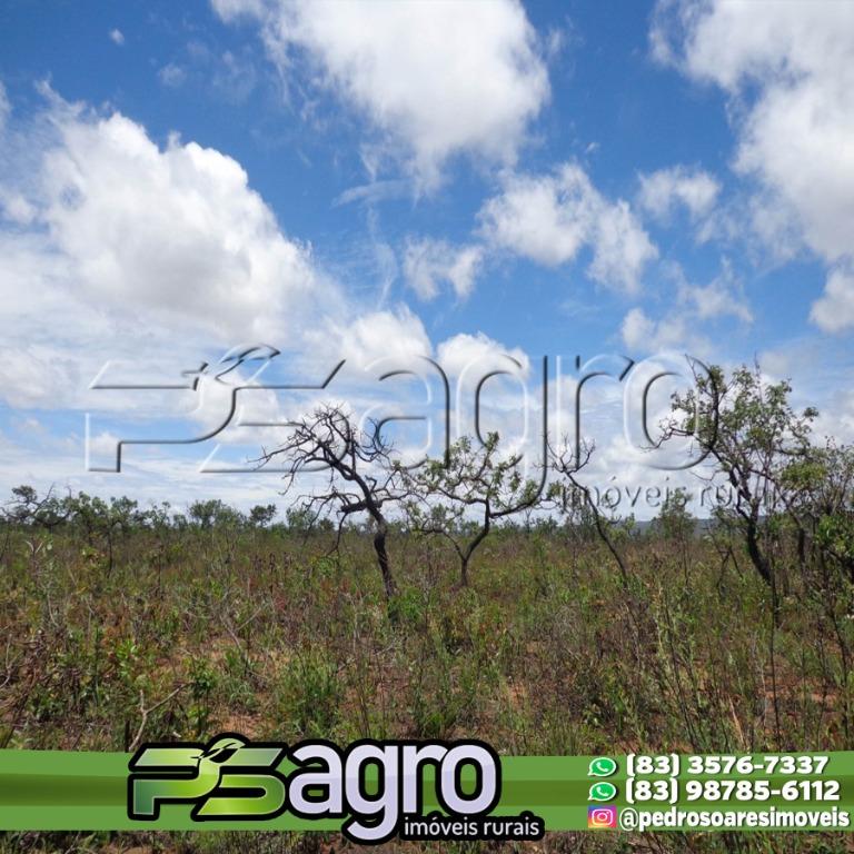 Fazenda à venda, 18300000M2 - Foto 11