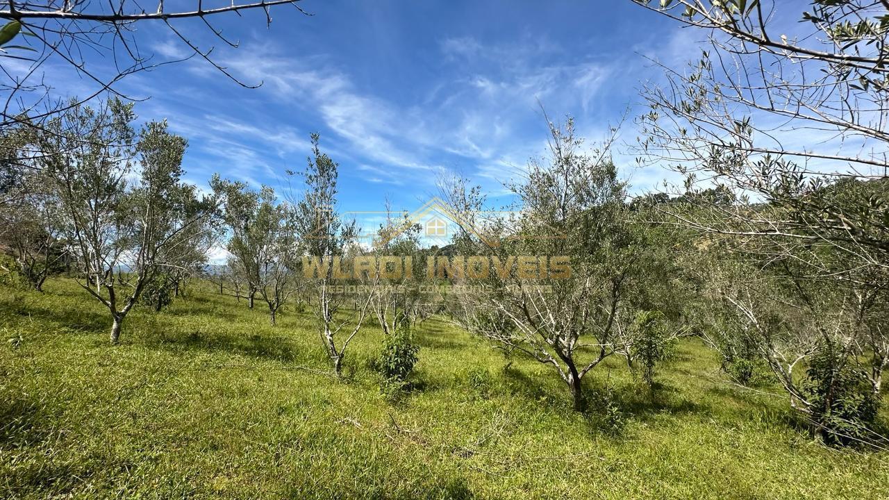 Fazenda à venda, 190000m² - Foto 20