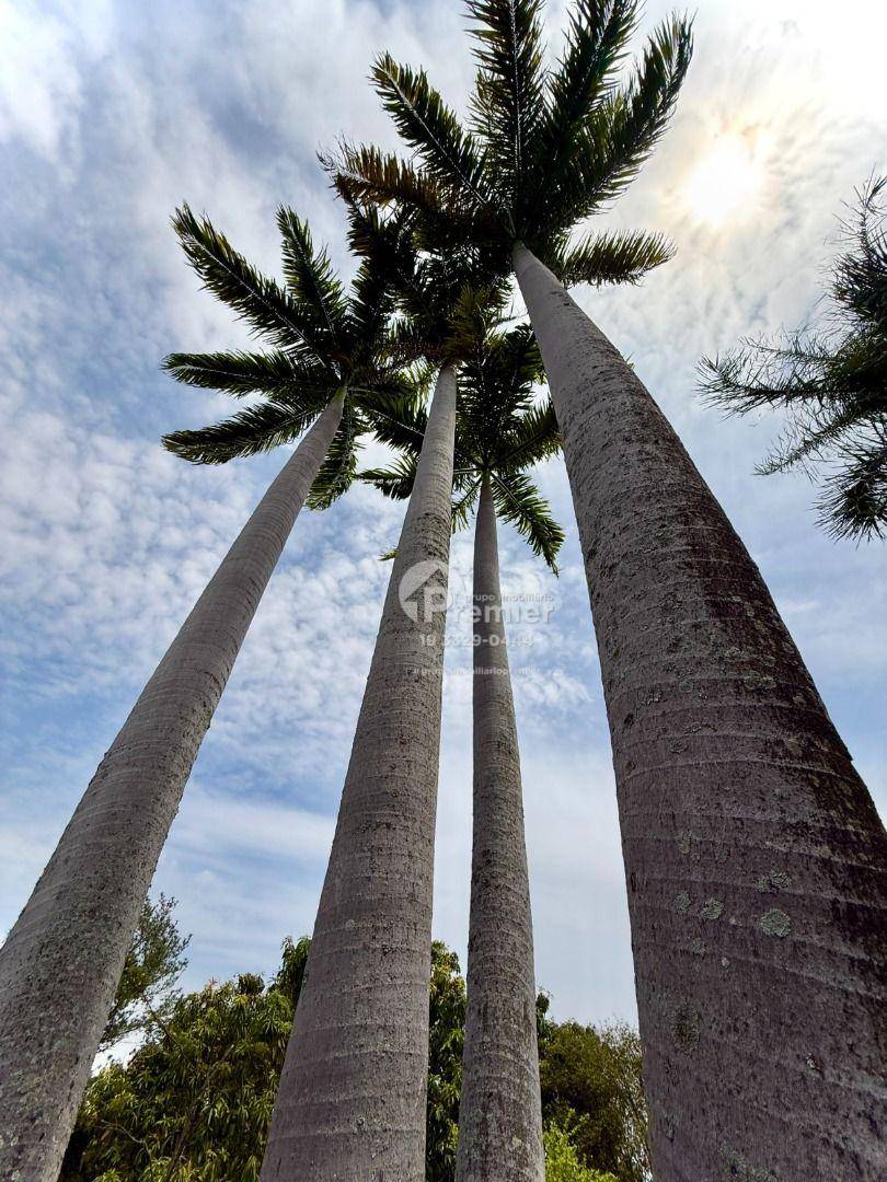 Chácara, 3 quartos, 5000 m² - Foto 43