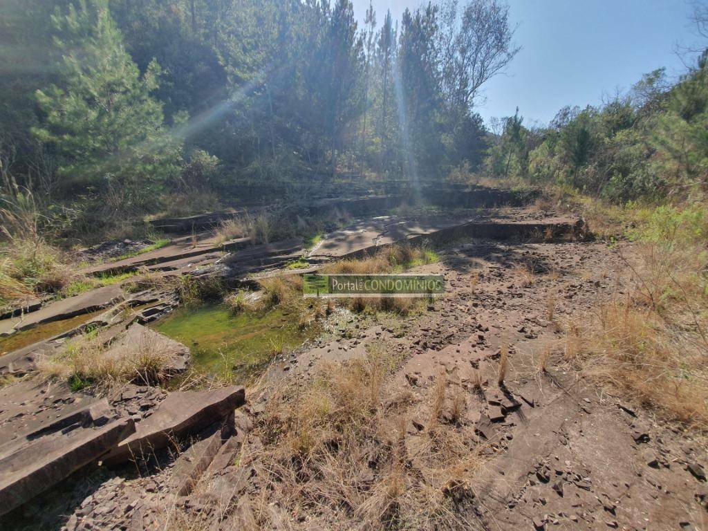 Terreno à venda, 15600M2 - Foto 11