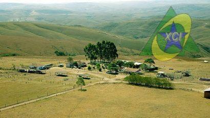 Fazenda à venda, 5400000M2 - Foto 4