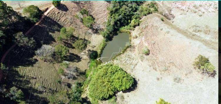 Fazenda à venda com 3 quartos, 580800M2 - Foto 6