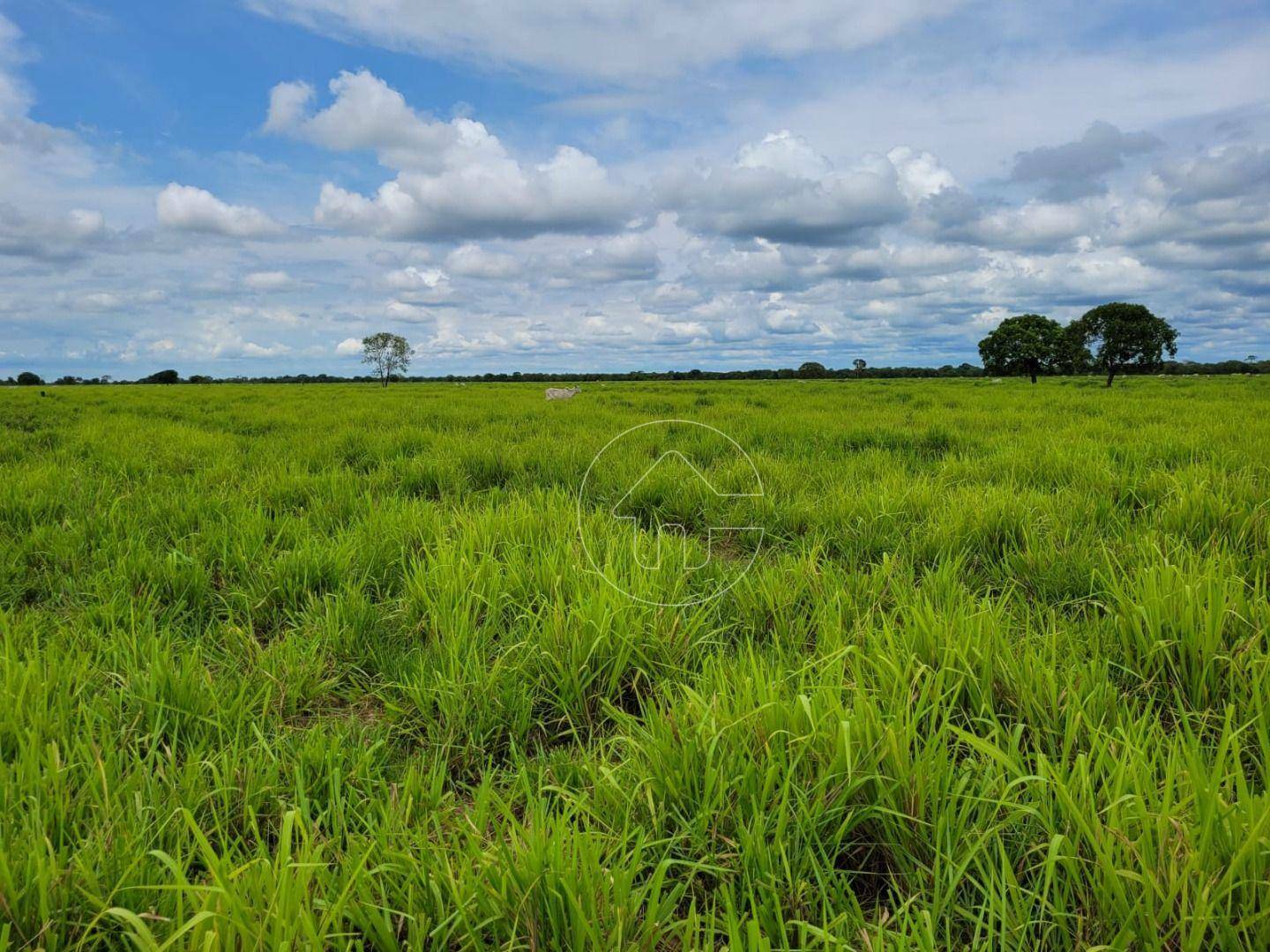 Fazenda à venda, 61350000M2 - Foto 7