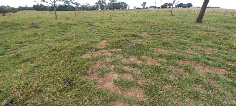 Fazenda à venda, 68m² - Foto 19