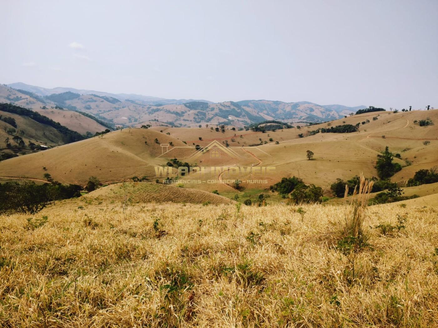 Terreno à venda, 20000m² - Foto 1