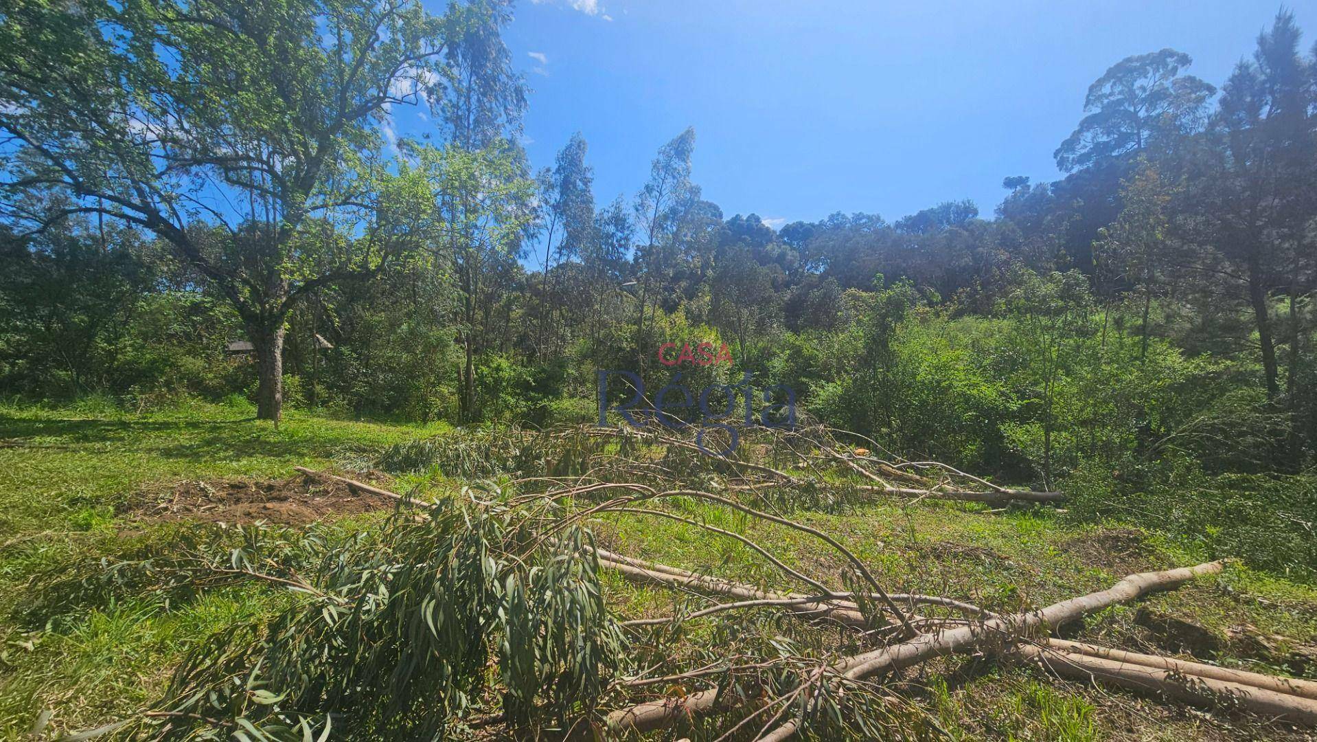 Terreno à venda, 1348M2 - Foto 3