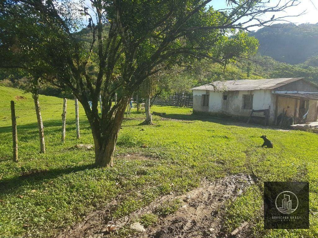 Fazenda à venda, 202000M2 - Foto 29