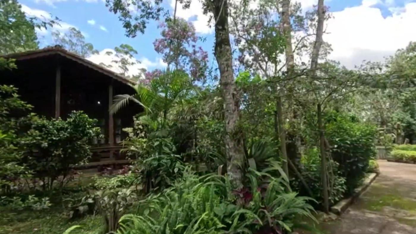 Sítio à venda com 8 quartos, 20000m² - Foto 4