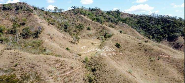 Fazenda-Sítio-Chácara, 58 hectares - Foto 3