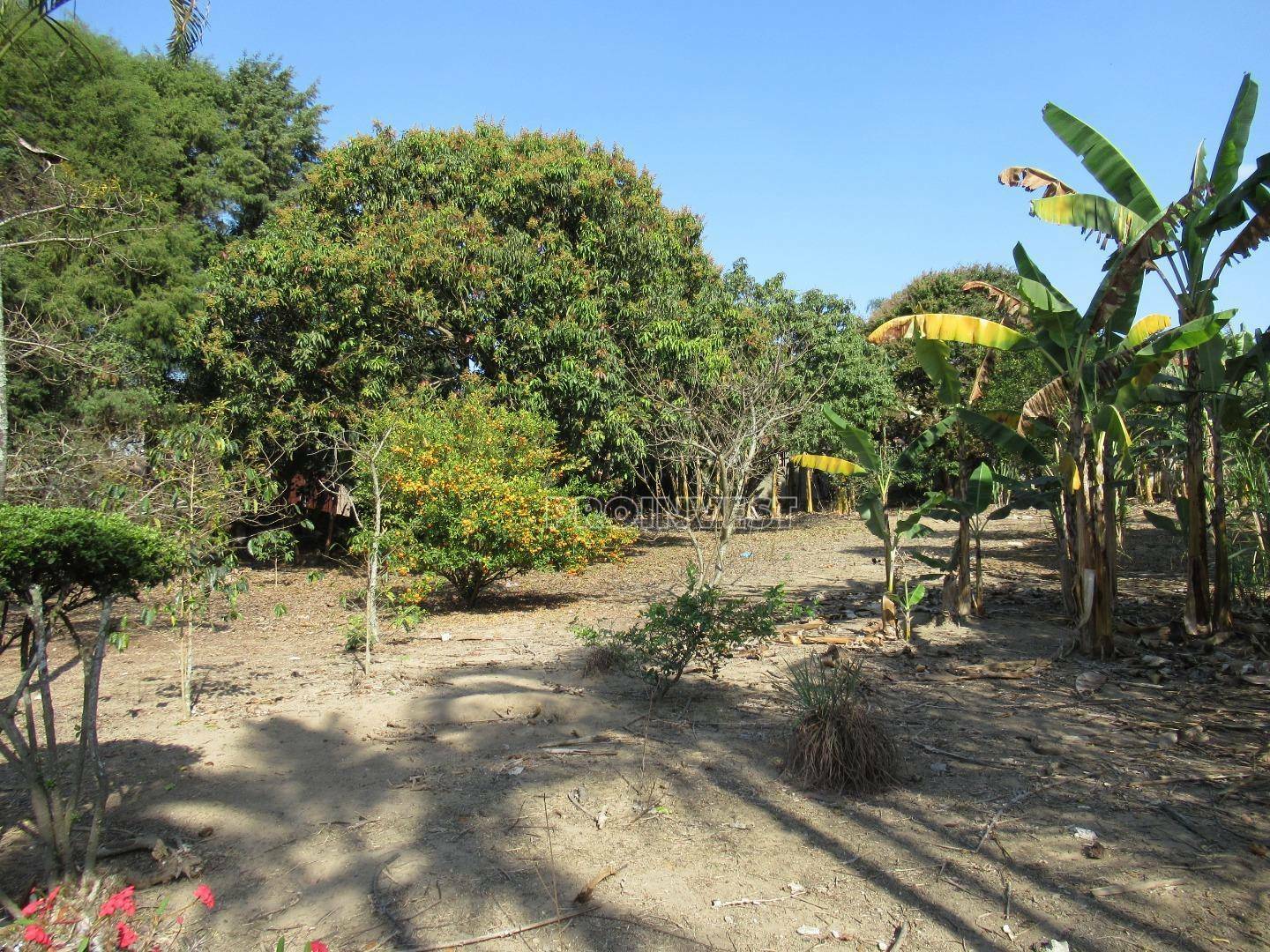 Terreno à venda, 14130M2 - Foto 3
