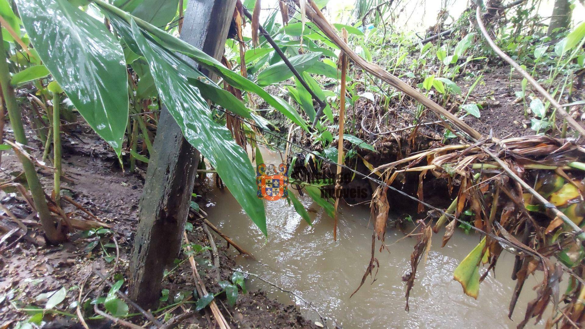 Chácara à venda com 4 quartos, 450m² - Foto 63