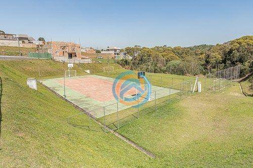 Casa, 4 quartos, 285 m² - Foto 4