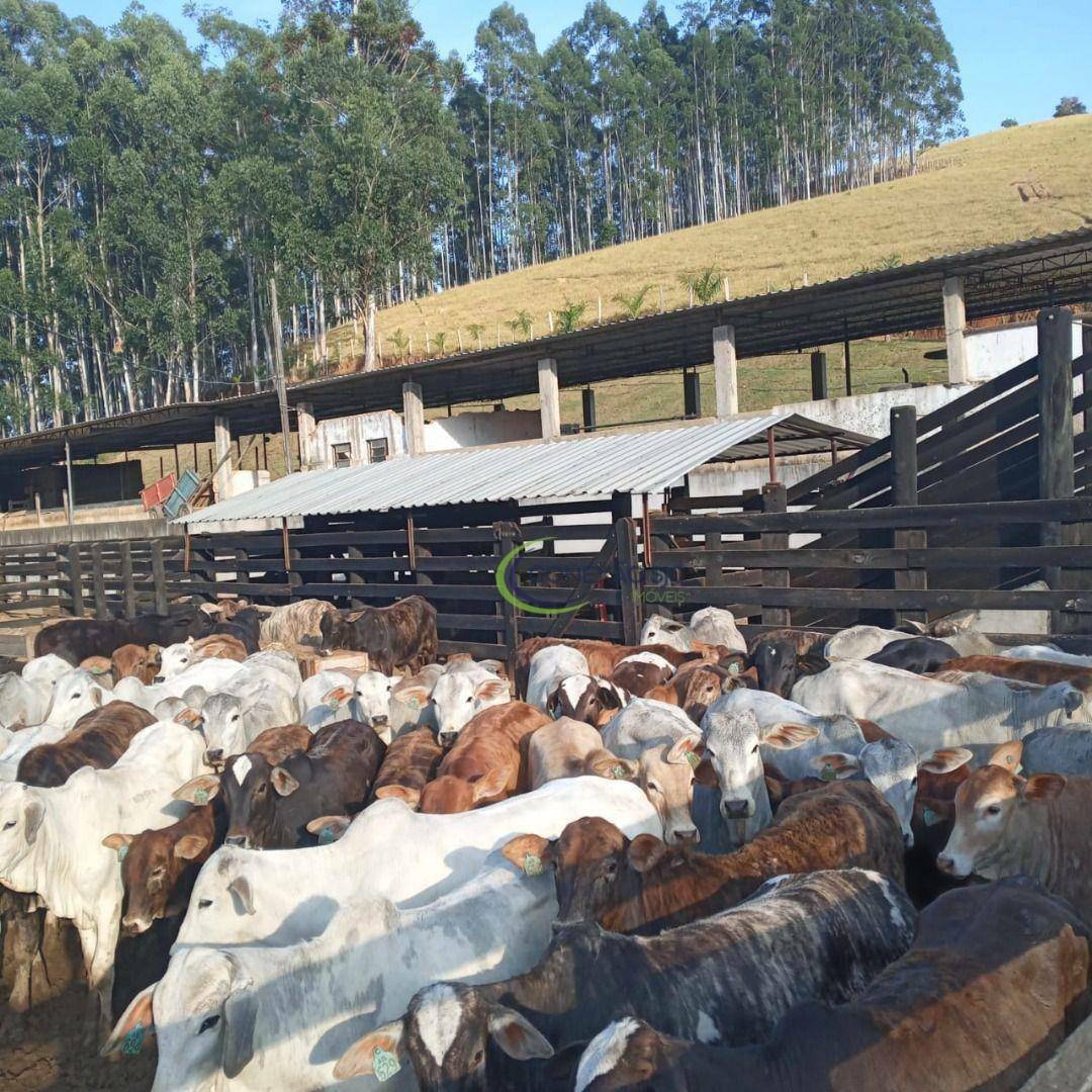 Fazenda à venda, 3388000M2 - Foto 6