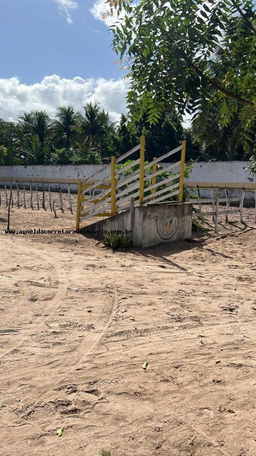 Fazenda à venda com 2 quartos, 6300m² - Foto 7