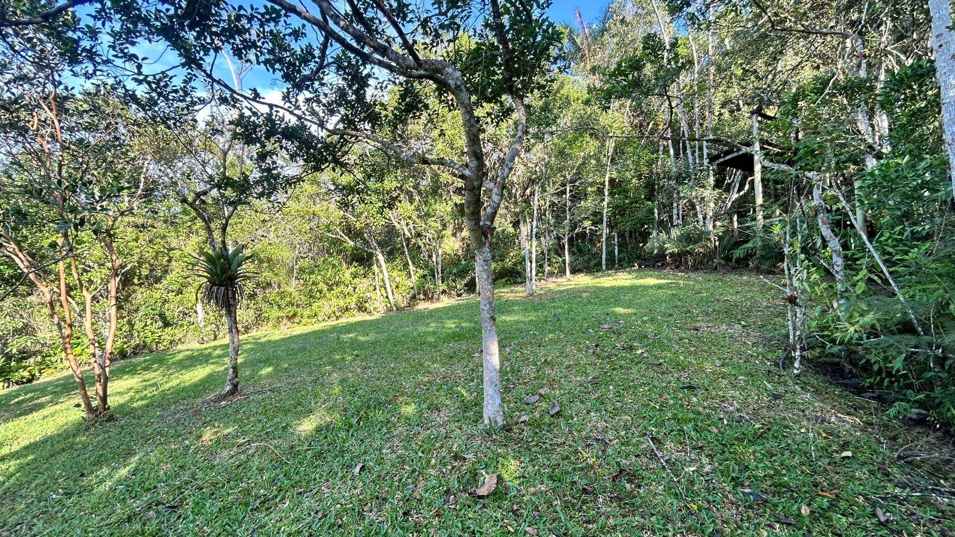 Sítio, 24 m² - Foto 14