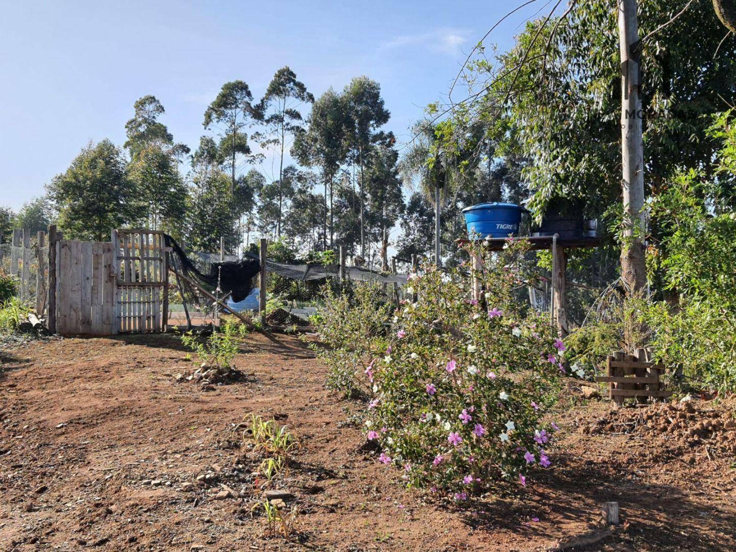 Chácara à venda com 2 quartos, 48400M2 - Foto 7