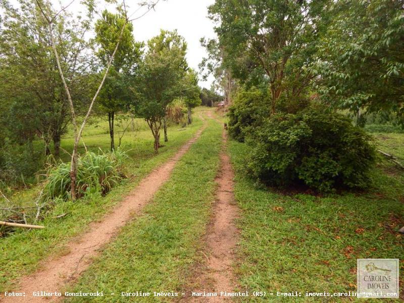 Fazenda à venda com 3 quartos, 60000m² - Foto 25