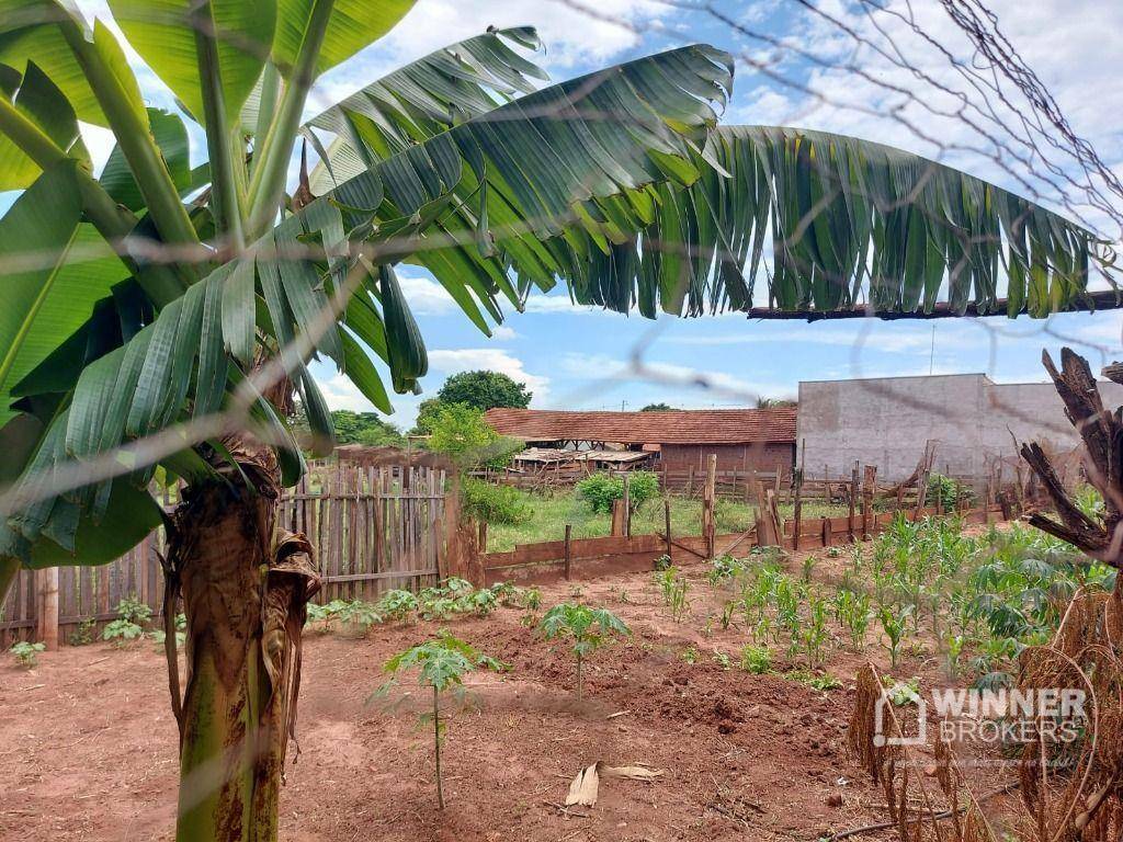 Terreno à venda, 1200M2 - Foto 7