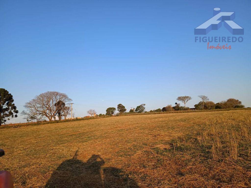 Sítio, 7 hectares - Foto 8