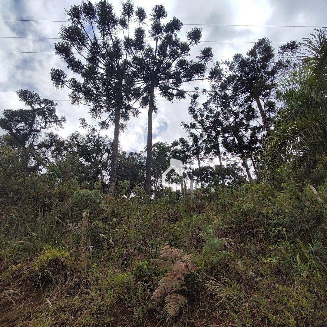 Terreno à venda, 36000M2 - Foto 4