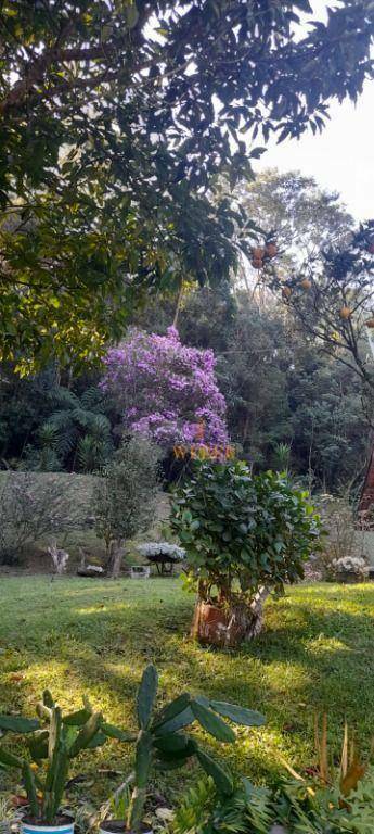 Chácara, 2 quartos, 8500 m² - Foto 3