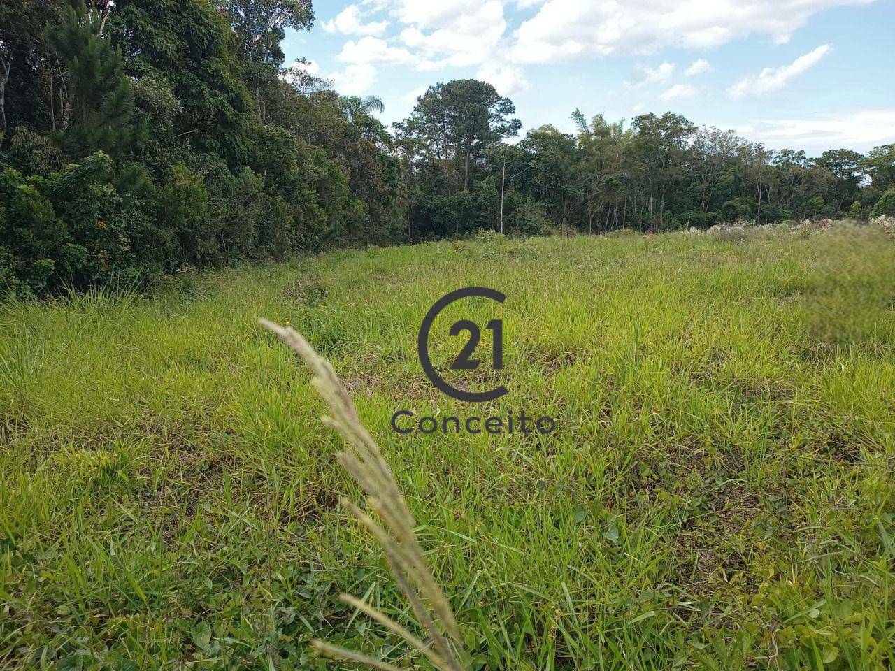 Loteamento e Condomínio à venda, 1161M2 - Foto 3