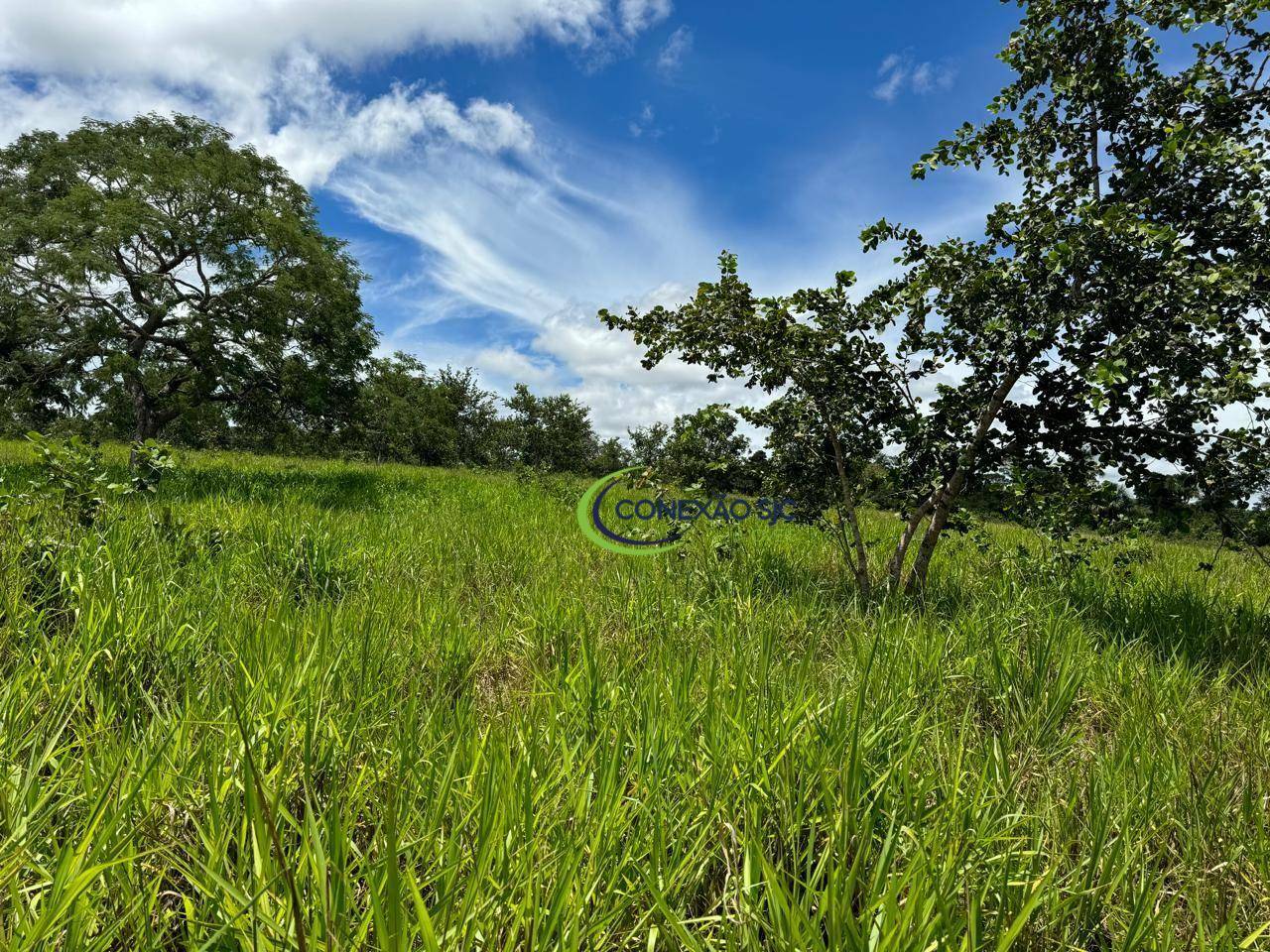 Fazenda à venda com 3 quartos, 19360000M2 - Foto 24