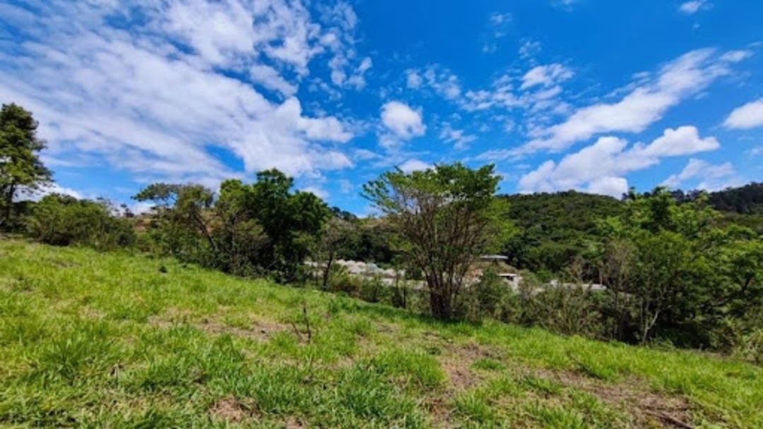 Terreno à venda, 2600M2 - Foto 4