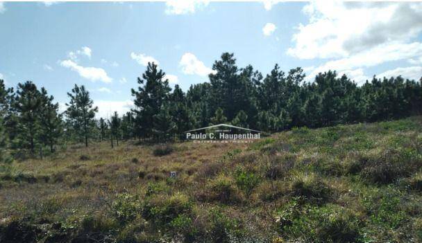 Terreno, 300 m² - Foto 1