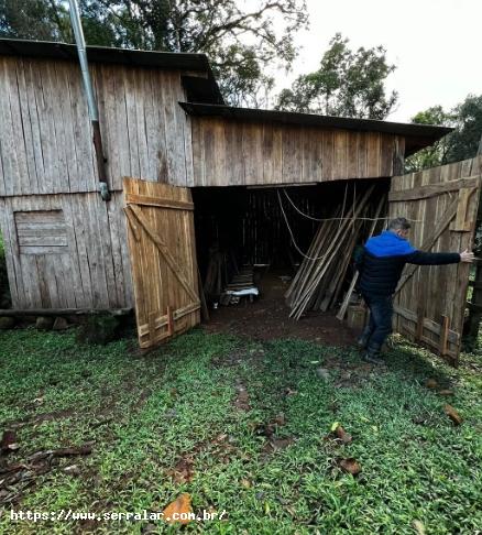 Fazenda à venda, 33000m² - Foto 7