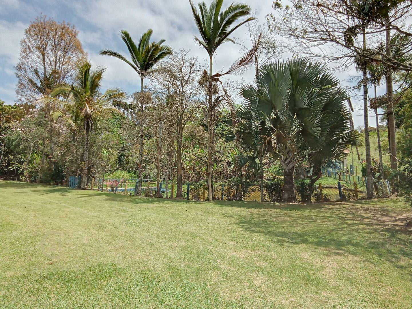 Chácara, 5 quartos, 2 hectares - Foto 2