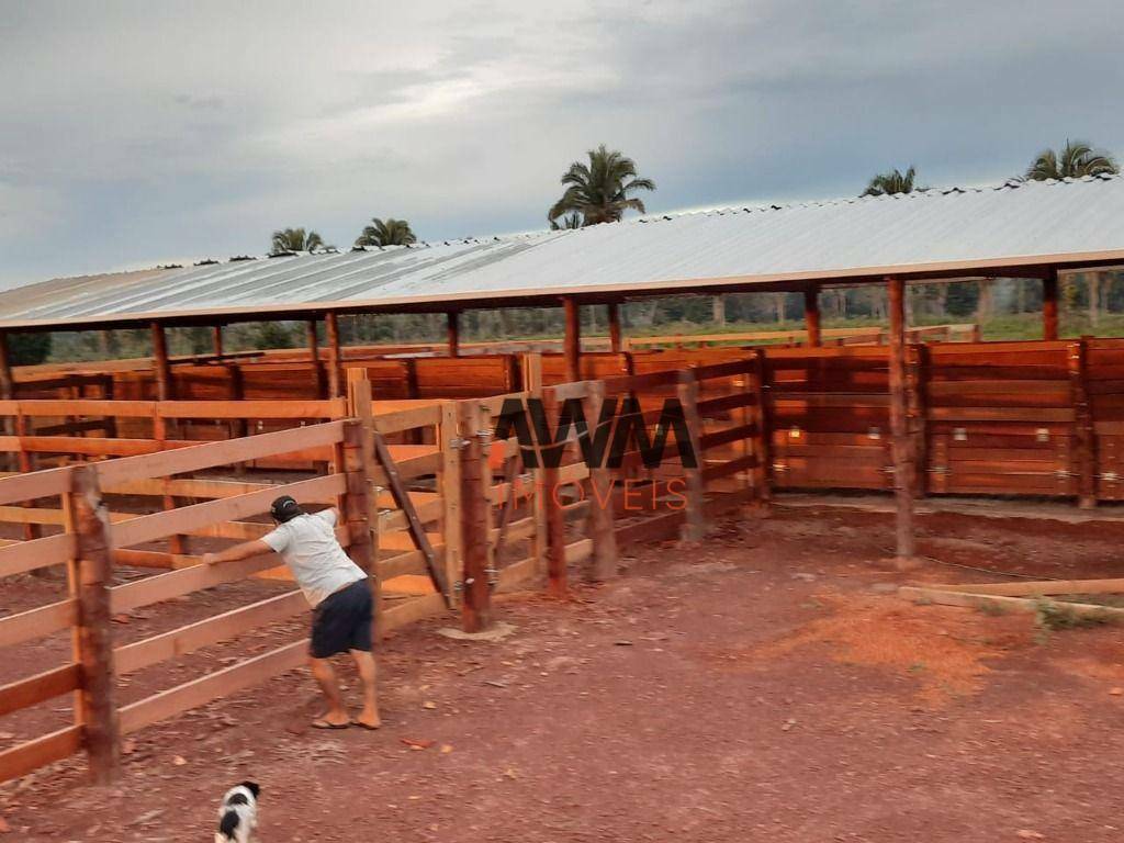 Fazenda à venda, 87120000M2 - Foto 17