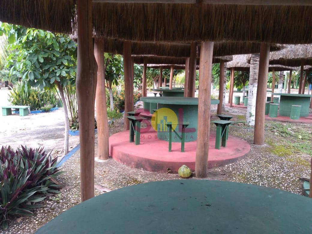 Sítio, 20 hectares - Foto 5