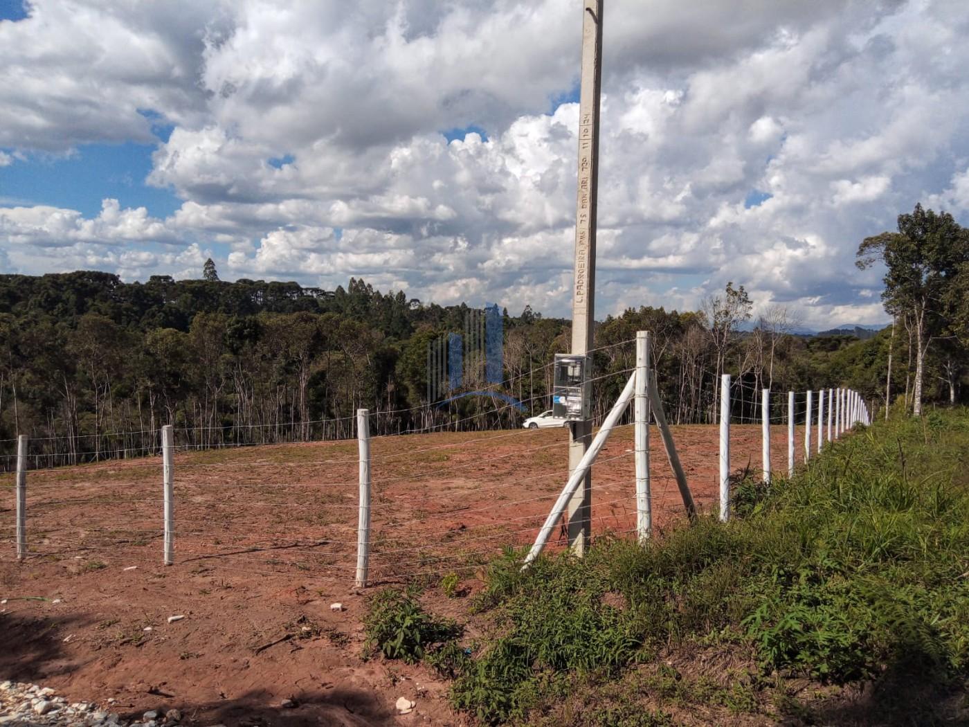 Chácara à venda, 5000m² - Foto 6