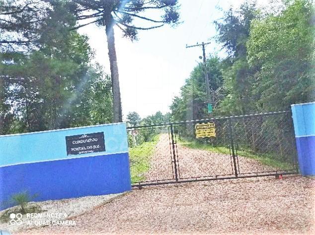 Chácara à venda com 3 quartos, 5000m² - Foto 18