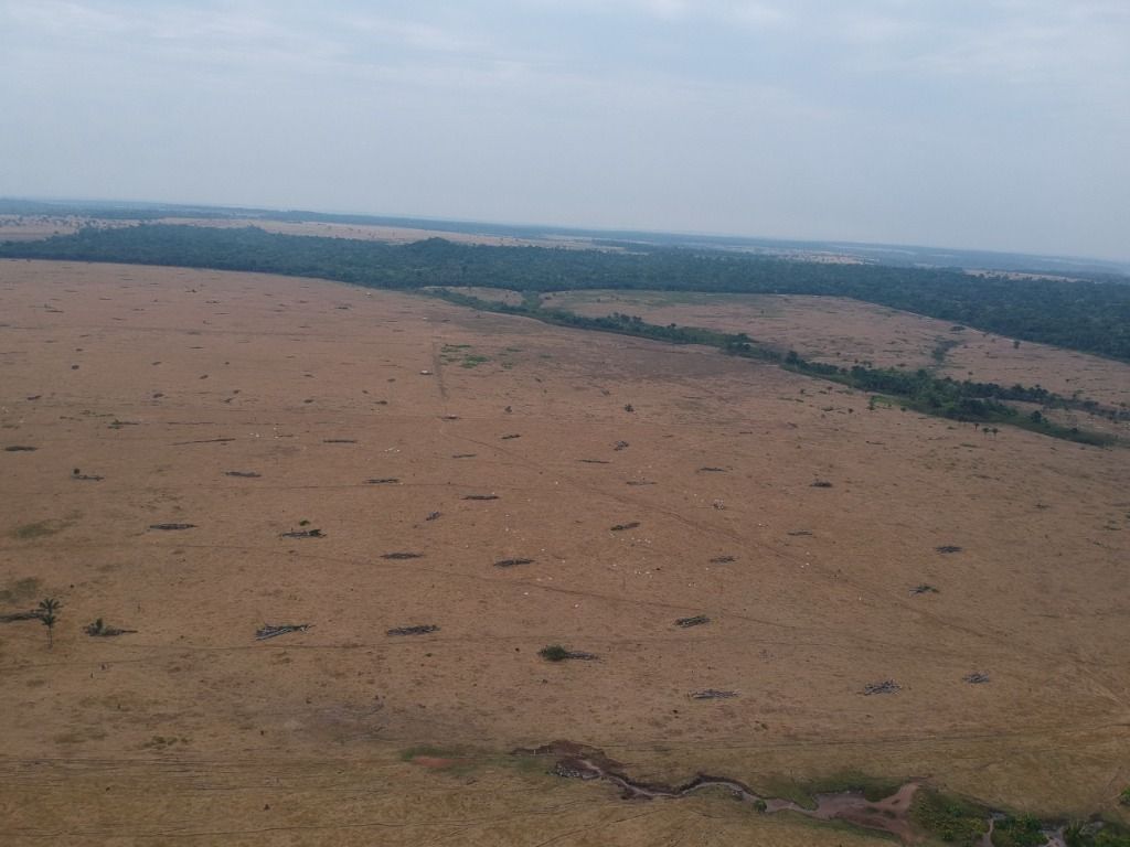 Fazenda à venda, 41140000M2 - Foto 16