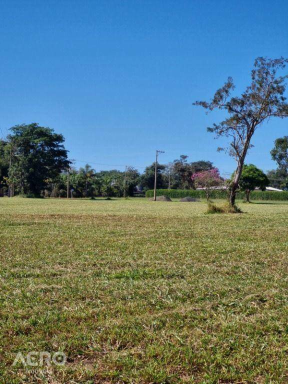 Loteamento e Condomínio à venda, 2260M2 - Foto 5