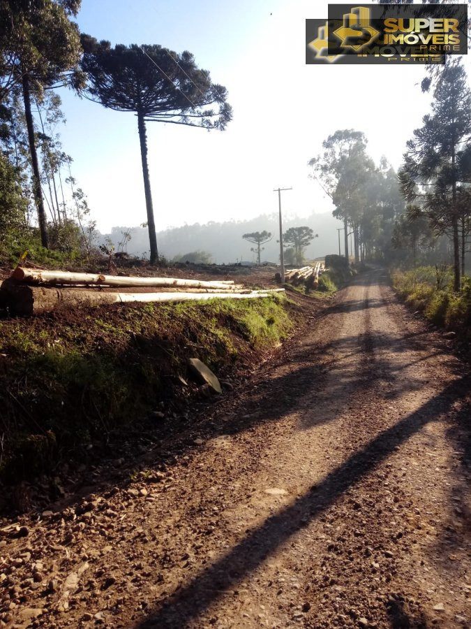 Fazenda à venda com 2 quartos, 450000m² - Foto 4