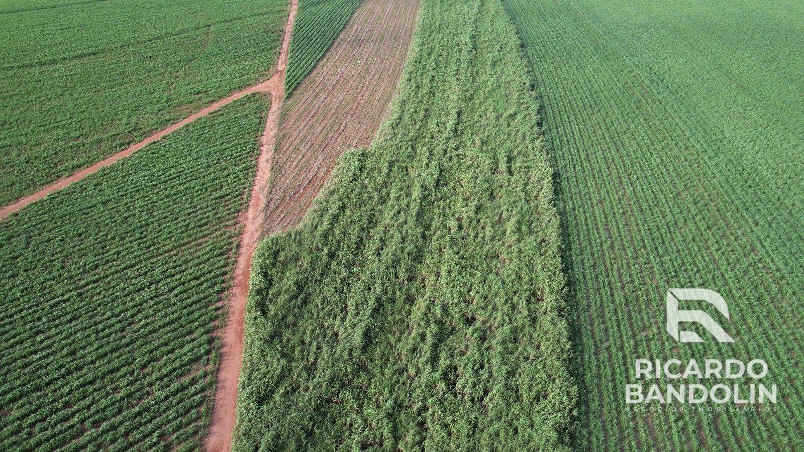 Fazenda à venda, 1m² - Foto 11