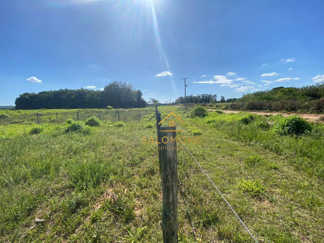 Terreno, 1000 m² - Foto 5