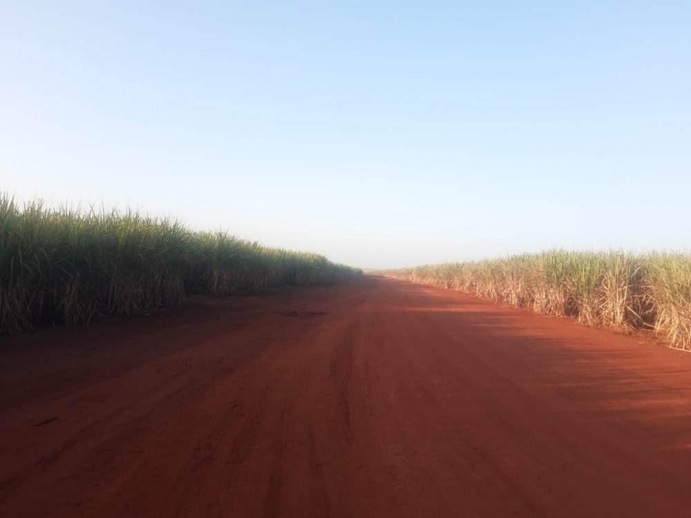 Fazenda à venda, 2600m² - Foto 3