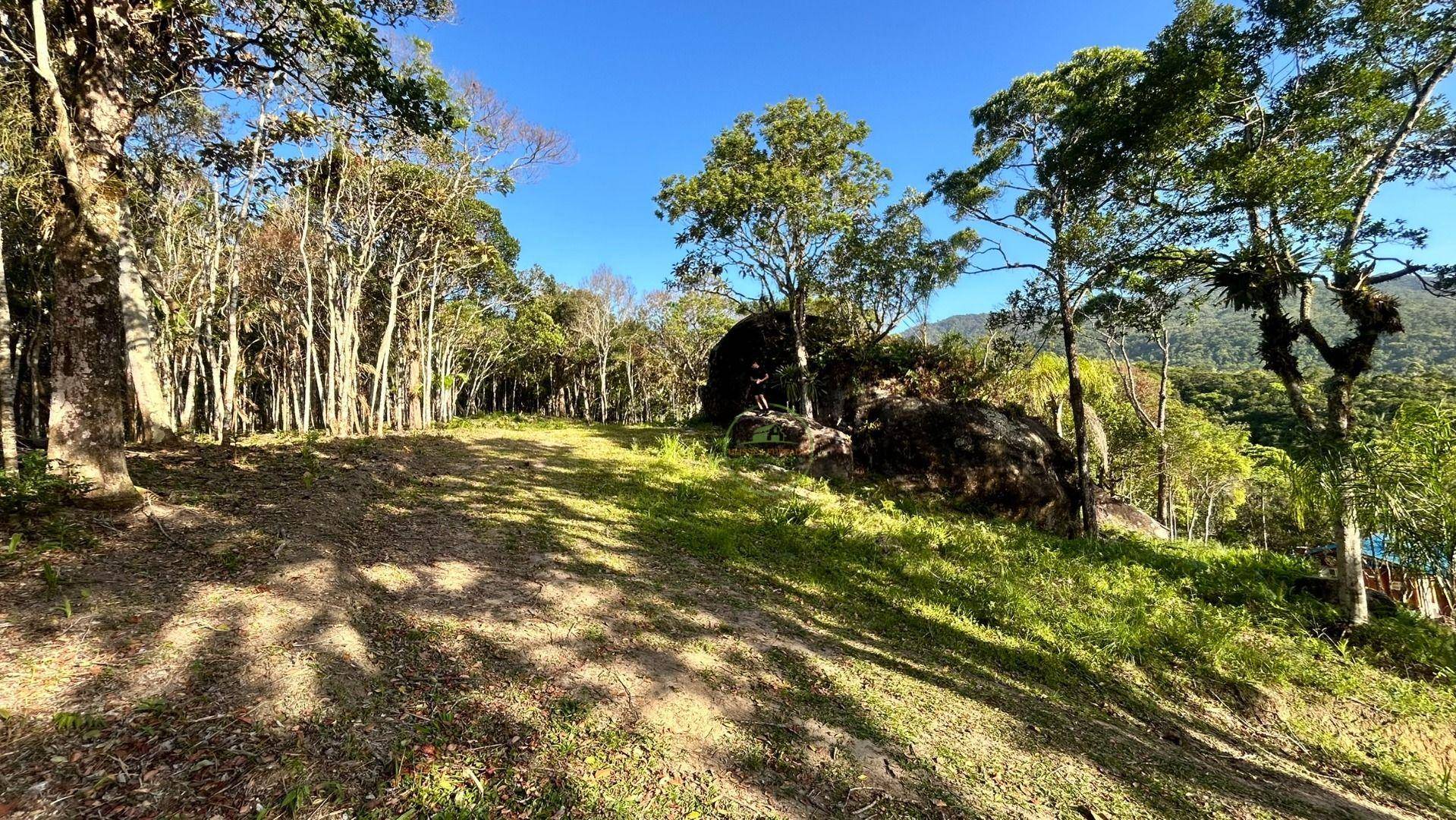 Terreno, 7700 m² - Foto 2