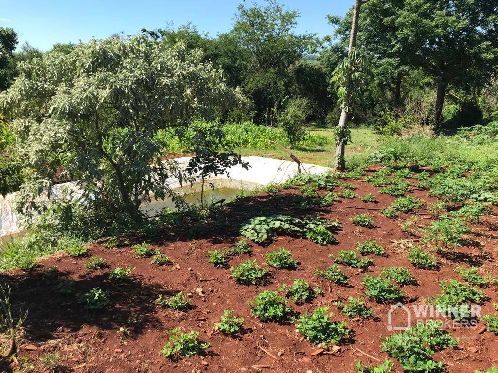 Chácara à venda com 3 quartos, 120m² - Foto 17