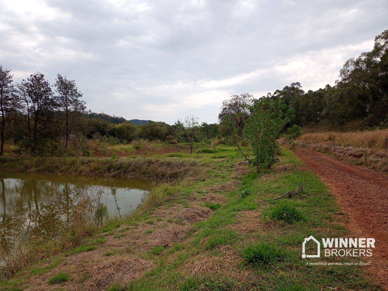 Terreno, 2 hectares - Foto 5