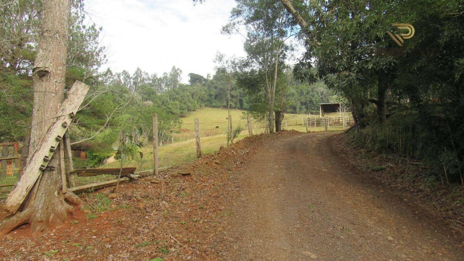 Terreno à venda, 169400M2 - Foto 14