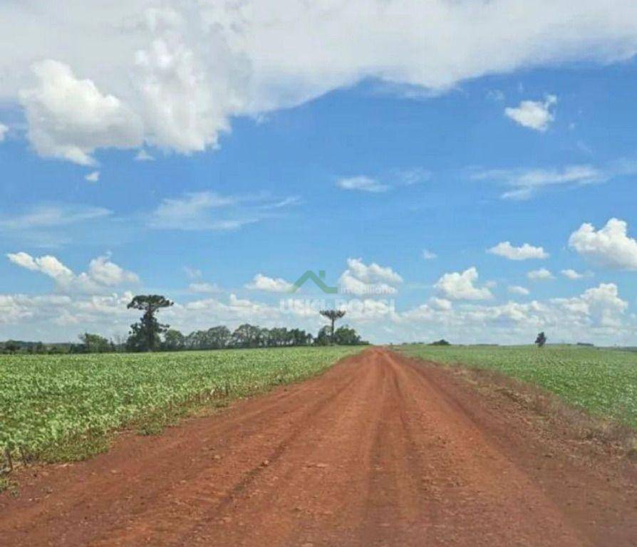 Sítio, 53 hectares - Foto 1