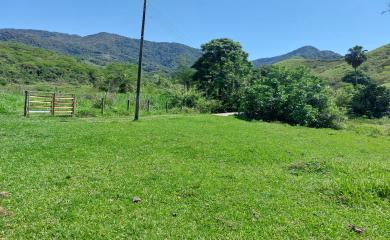 Fazenda à venda com 3 quartos, 30000m² - Foto 6