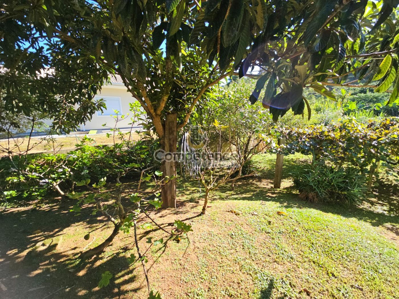 Sítio à venda com 3 quartos, 152m² - Foto 16