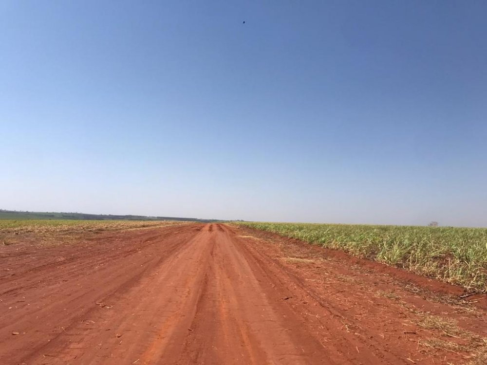 Fazenda, 373 hectares - Foto 5