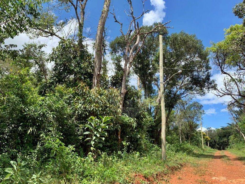 Casa à venda e aluguel com 3 quartos, 200m² - Foto 18